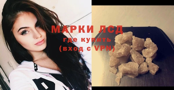 твердый Ладушкин