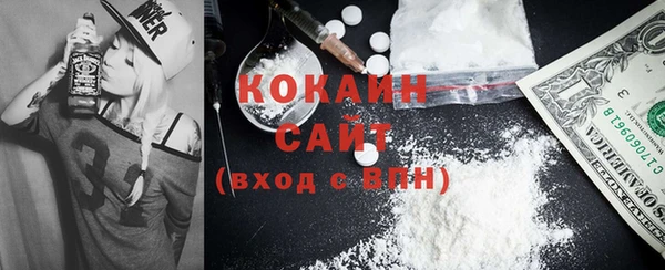 твердый Ладушкин