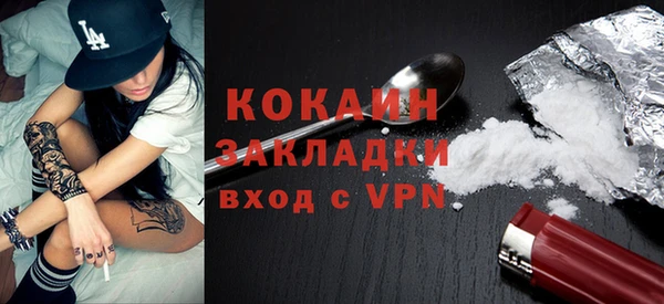 твердый Ладушкин