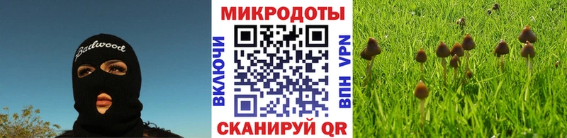 даркнет сайт  kraken как зайти  Галлюциногенные грибы GOLDEN TEACHER  Мелеуз 