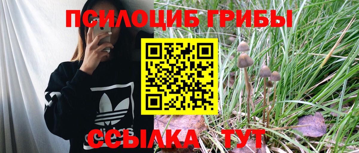 Псилоцибиновые грибы Psilocybe Мелеуз