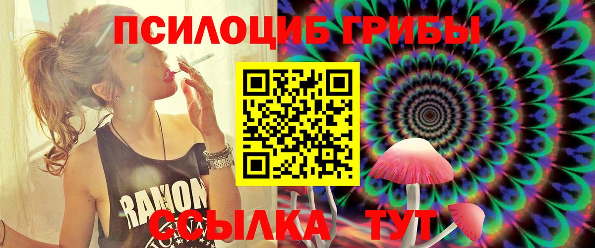 Галлюциногенные грибы Cubensis  Вход с VPN  Мелеуз 